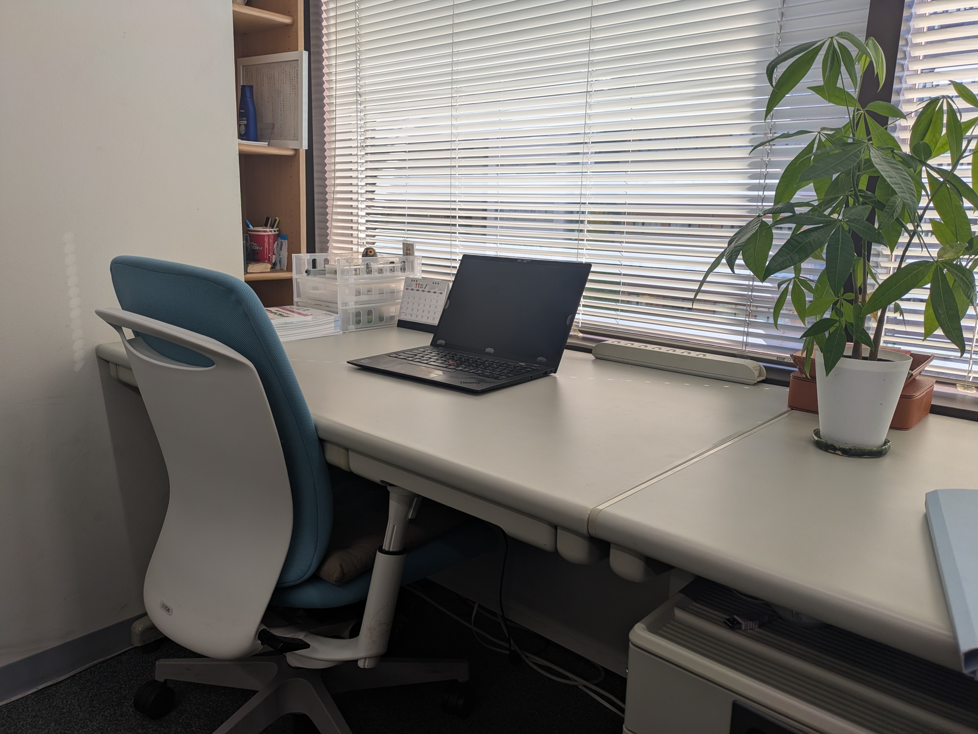 有楽町公認会計士共同事務所